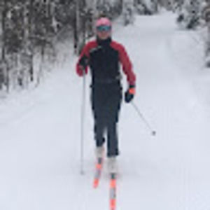 Meet your Posher, Ginger